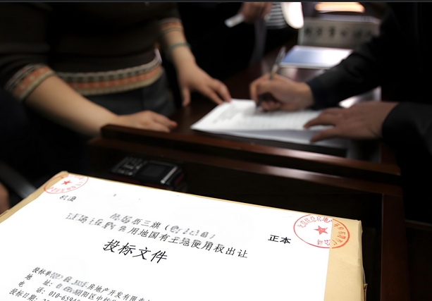 投标文件中的审计报告该如何撰写